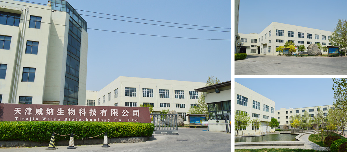 Tianjin Weina Biotechnology Co., Ltd.