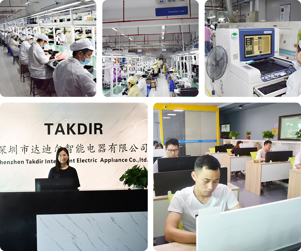 TAKDIR Intelligent Electrical Apparatus Co., Ltd.