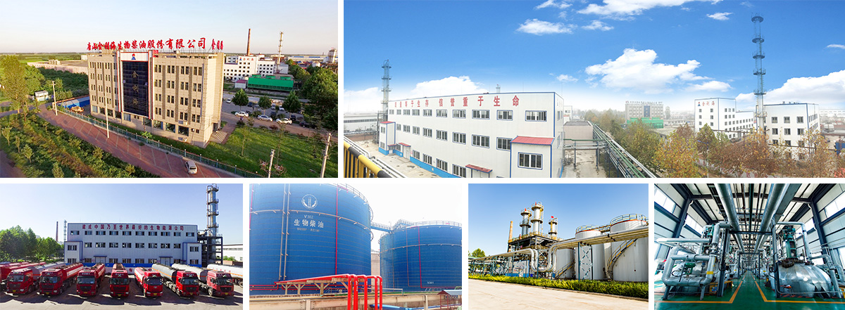 Tangshan Jinlihai Biodiesel Co., Ltd.