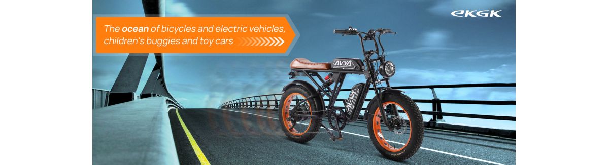 Yiwu Longdeng Electric Bicycle Co., Ltd.